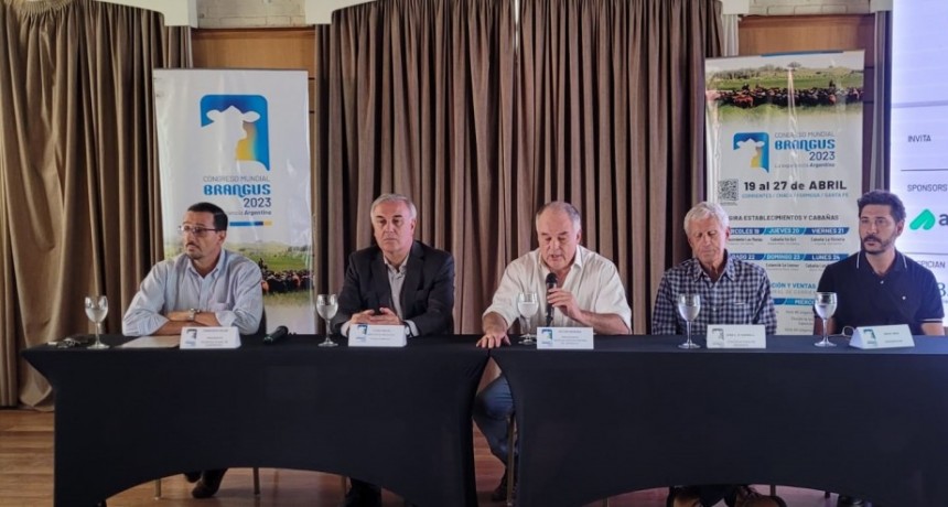 Argentina se prepara para mostrar el avance de su genética Brangus