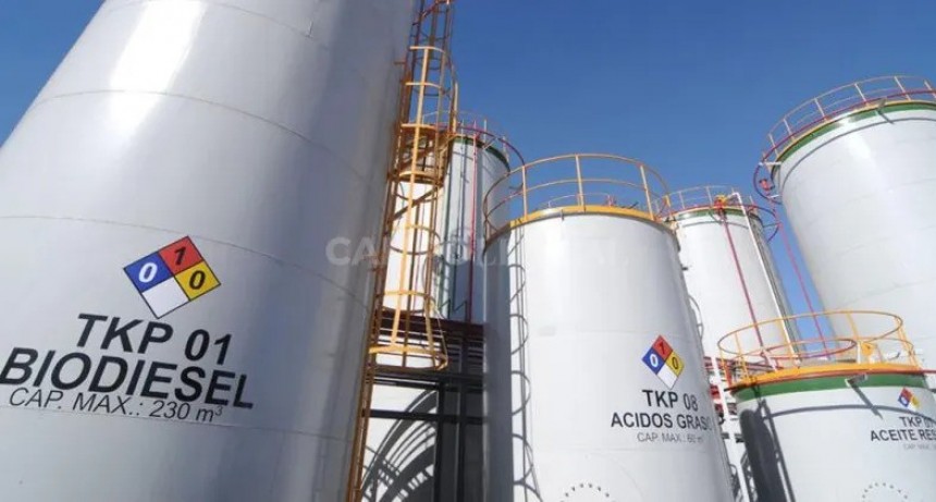  Pymes de biodiesel plantearán un cupo de abastecimiento interno de aceite de soja
