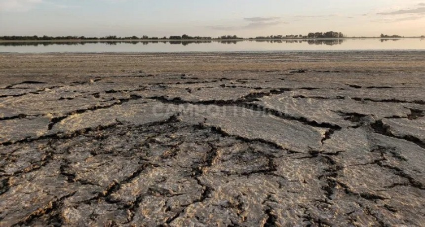 "El campo est&aacute; librado a su suerte" 