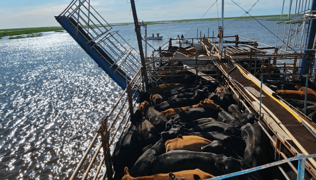 Por las islas del Paraná también navegan las quejas del campo por las tasas municipales