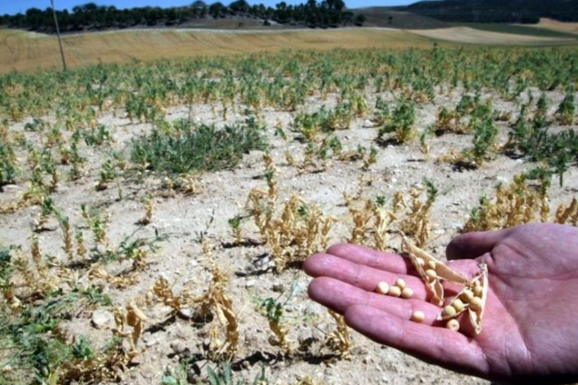 Los del campo, ¿siempre lloran?