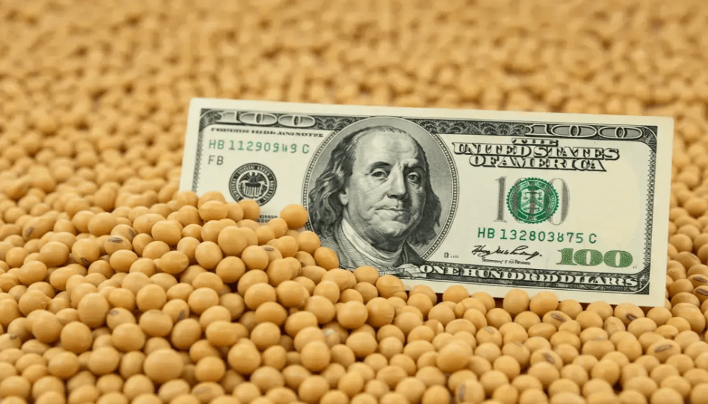 La ca&iacute;da de la liquidaci&oacute;n no fue casualidad: en febrero se desplomaron las ventas y molienda de soja