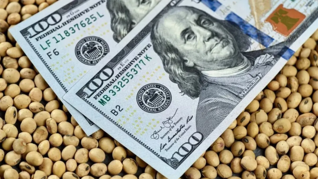 Santa Fe llevar&aacute; el reclamo por las retenciones a Expoagro: "Hay que bajar la carga impositiva"