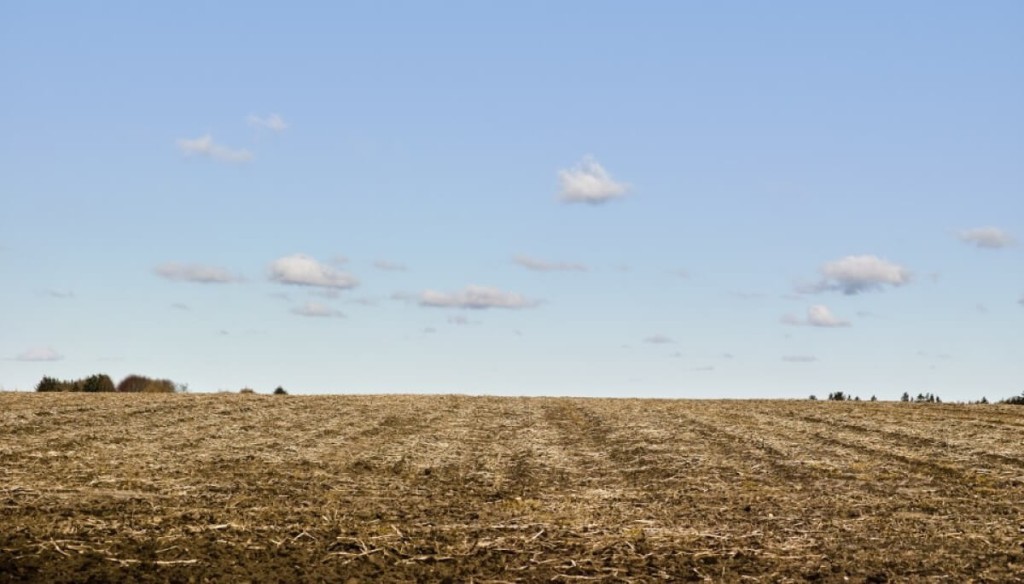 A la par de la cosecha, comienzan los barbechos: claves para lograr mezclas estables y eficientes