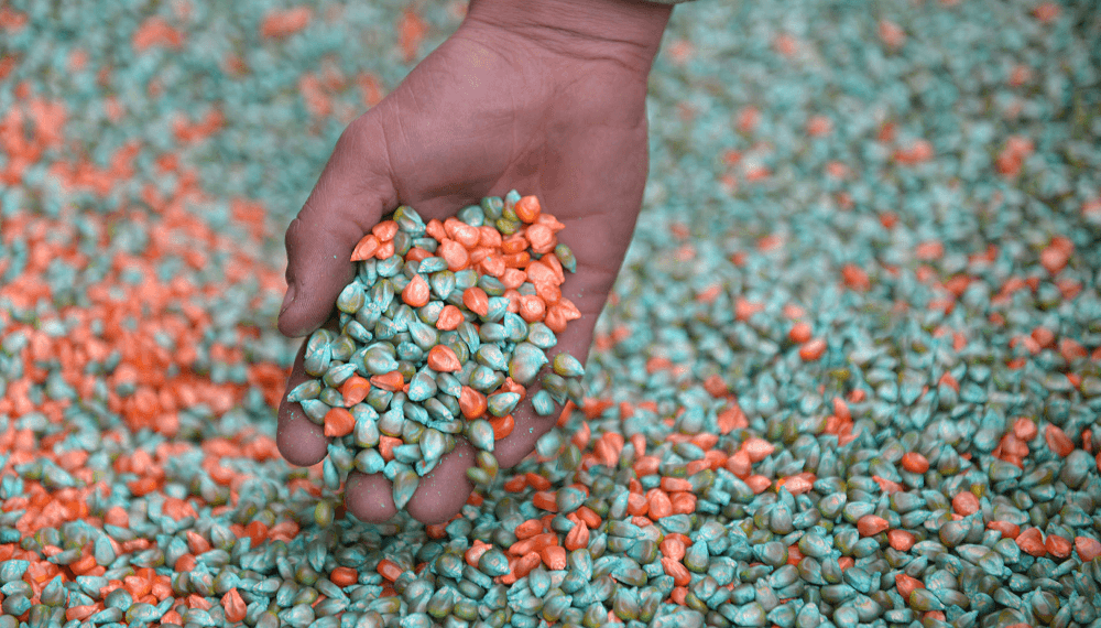 Los granos y los fertilizantes bajo tensi&oacute;n: el agro mira con atenci&oacute;n la guerra en Medio Oriente