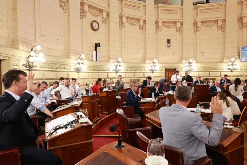 El Senado dio media sanci&oacute;n a la nueva ley org&aacute;nica de municipios y el proyecto pas&oacute; a Diputados