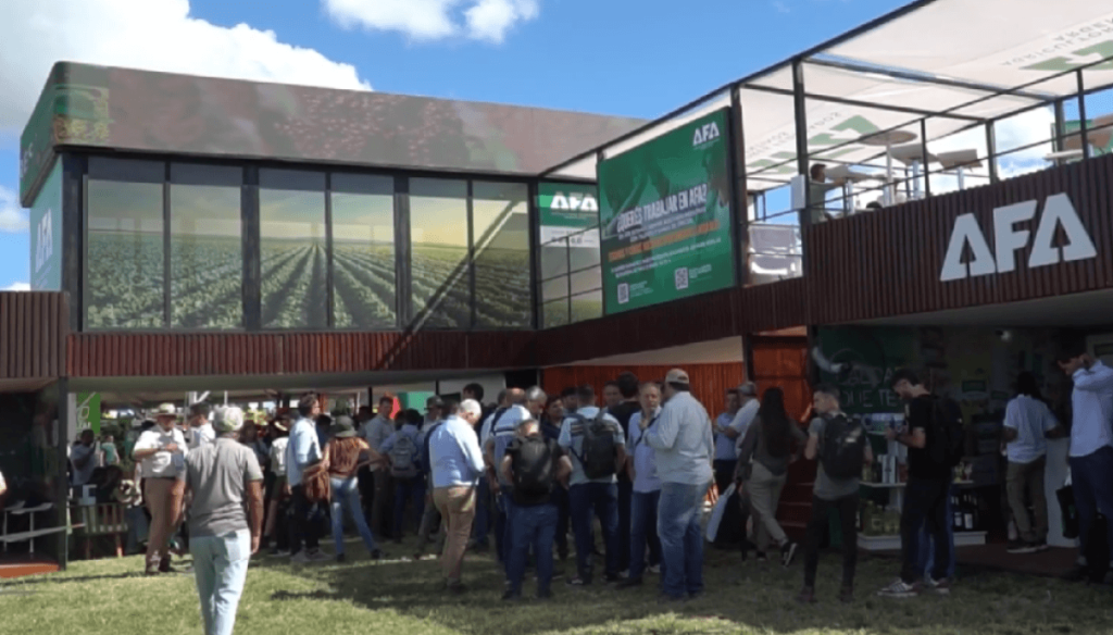 El temor de los agricultores federados de cara a la siembra de trigo: la escalada de precios de los fertilizantes