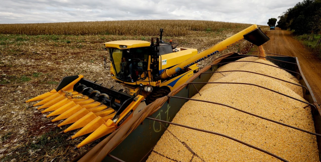 La cosecha gruesa toma ritmo: finaliz&oacute; el girasol y se acelera el ma&iacute;z temprano