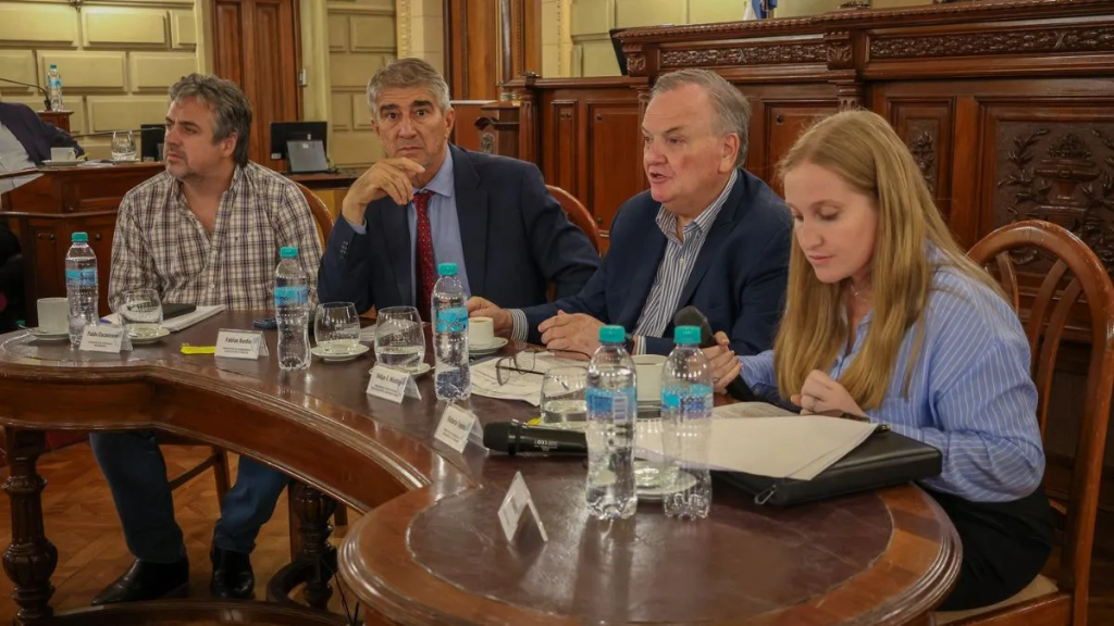 Ley de cuidacoches en Santa Fe: el Gobierno provincial fij&oacute; postura y el Senado define su futuro
