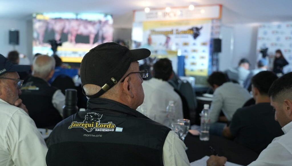 Precios firmes y expectativas en alza: la ganader&iacute;a entr&oacute; en fase de retenci&oacute;n para pegar un nuevo salto