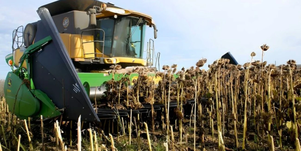 El girasol marca un r&eacute;cord productivo en el centro-norte santafesino y consolida su protagonismo econ&oacute;mico