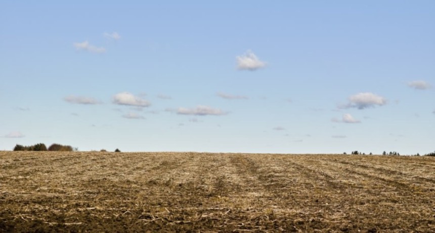 A la par de la cosecha, comienzan los barbechos: claves para lograr mezclas estables y eficientes