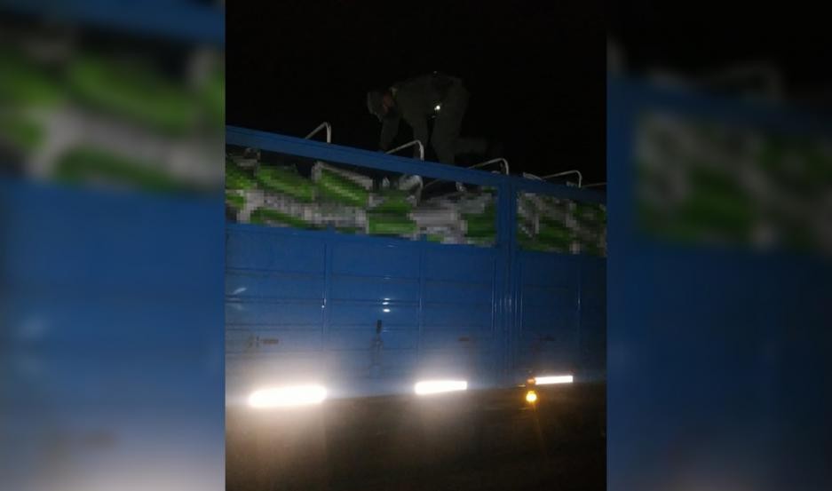 Gendarmería paró a un camionero que salió de Santiago del Estero: tenía 30 toneladas de soja ilegal