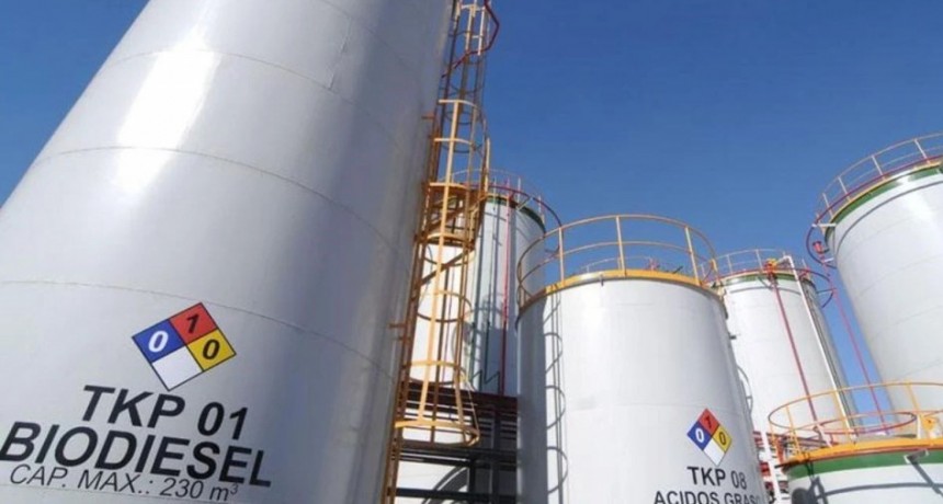 Pymes de biodiesel plantearán un cupo de abastecimiento interno de aceite de soja