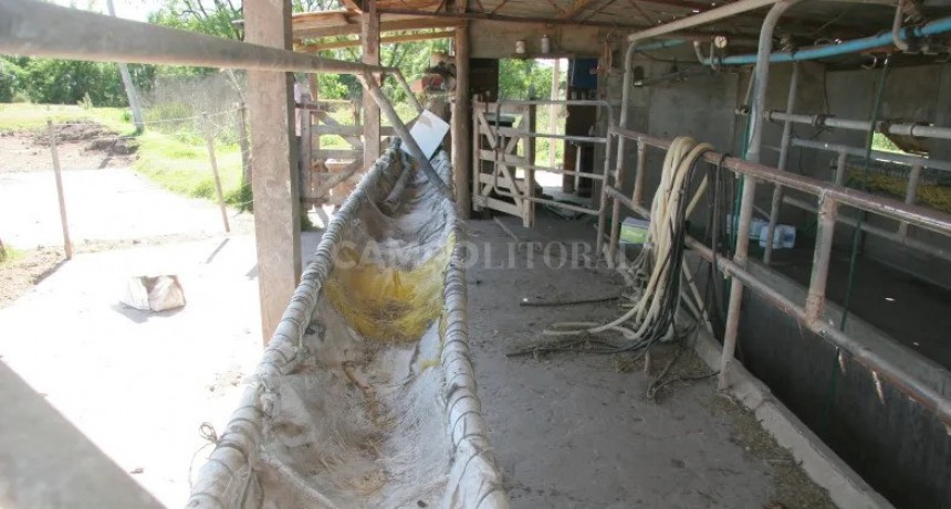 "El d&oacute;lar agro multiplicar&aacute; la pobreza" 