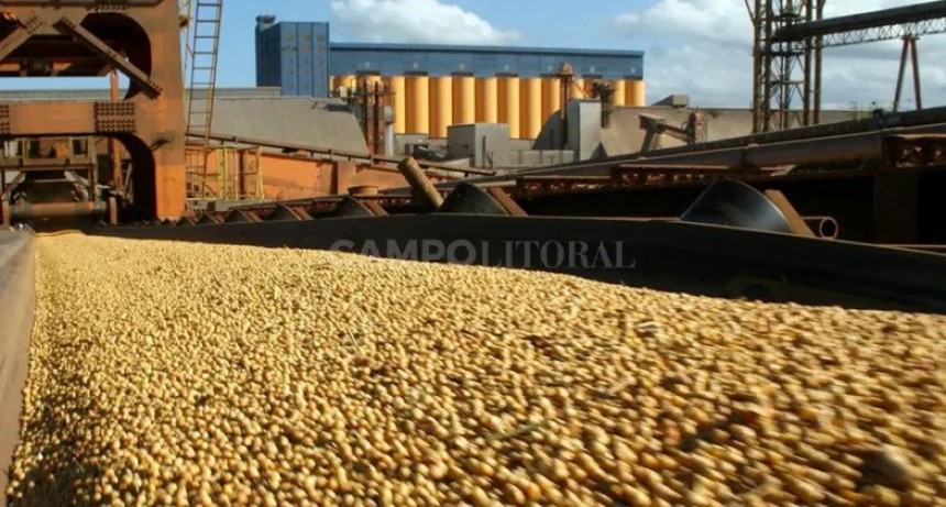 La industria aceitera de soja en su peor momento 
