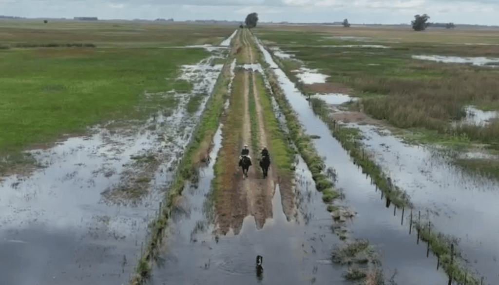 “¿Van a seguir ignorándonos?”: productores de Buenos Aires, indignados por los caminos rurales
