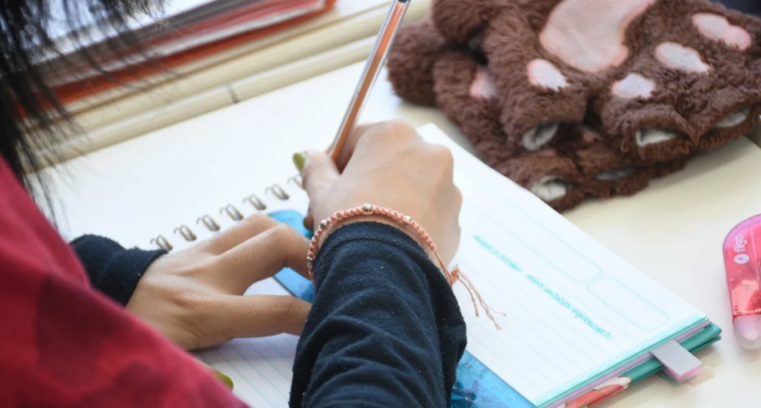 Abren la inscripción para recibir los Vouchers Educativos 2025: cómo anotarse