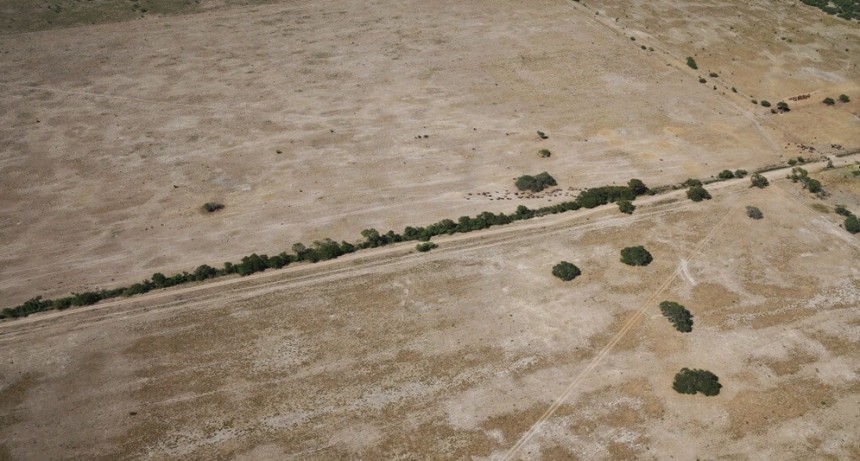 Declaran la emergencia agropecuaria nacional para Chaco y parte de Santa Fe, por sequía