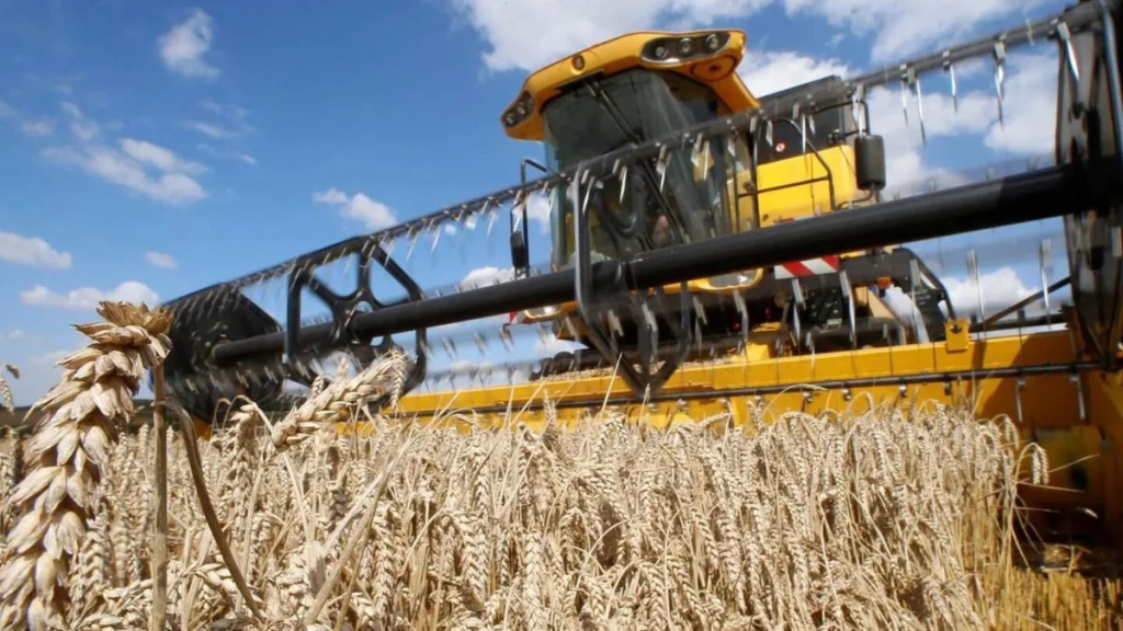 FADA: impuestos y costos en alza complican a los chacareros y comprometen al trigo