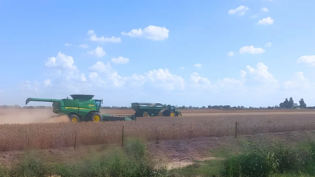 Comenz&oacute; la cosecha de soja y los primeros rendimientos anticipan una gran campa&ntilde;a
