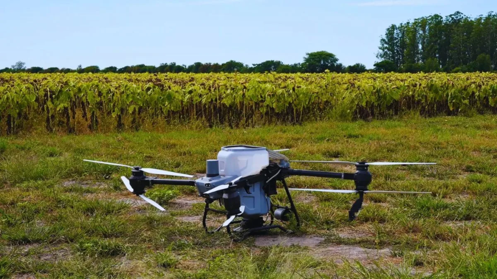Con drones, el INTA Reconquista logra reducir m&aacute;s de 50% el uso de nitr&oacute;geno en girasol