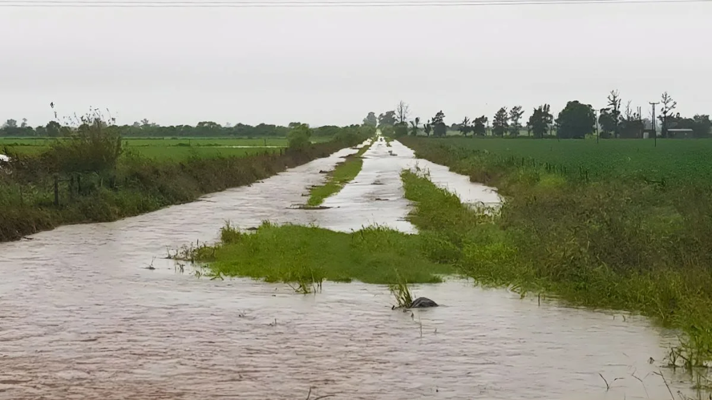 Lluvias en el centro norte santafesino: cosecha parada y caminos intransitables