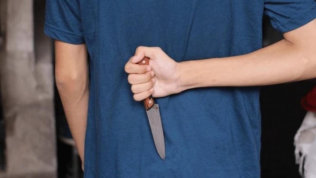 Alarma en Salta: un ni&ntilde;o de 10 a&ntilde;os llev&oacute; un cuchillo de cocina a la escuela