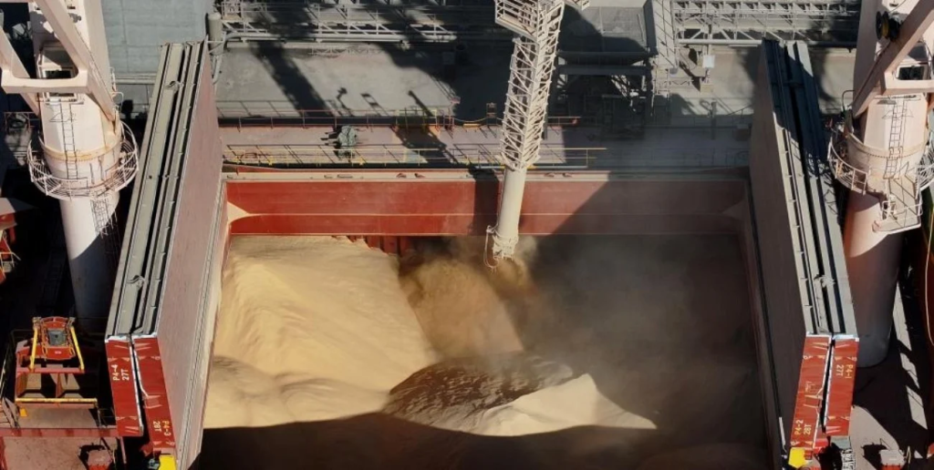 Soja: cosecha lenta por lluvias, pero con descargas r&eacute;cord en el Gran Rosario