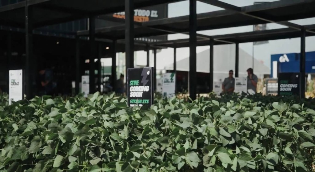 Gen&eacute;tica en ma&iacute;z y soja: &iquest;c&oacute;mo influyen la lluvia y los suelos de cada regi&oacute;n para alcanzar un rinde ideal?