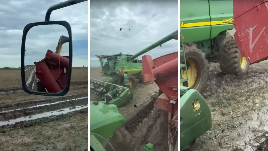 Cosecha en el barro: el suelo puede esperar, lo importante es levantar la soja a tiempo