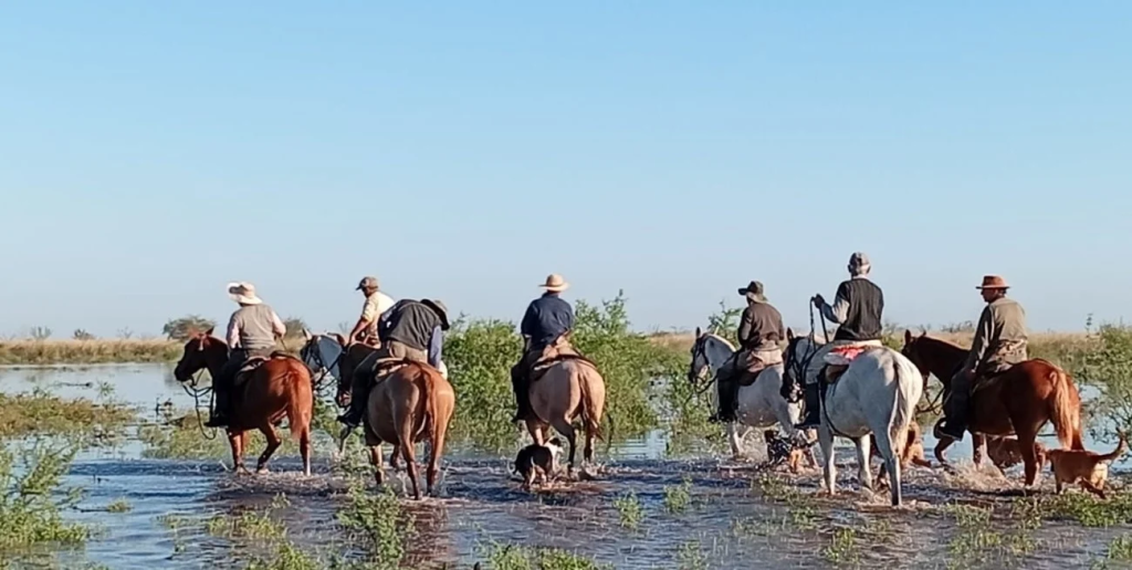 Villa Minetti bajo agua: evacuaciones, anegamientos y rescates de animales