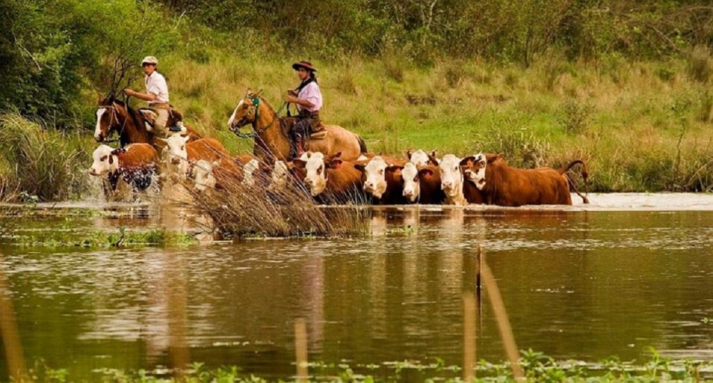 Medidas excepcionales para la ganader&iacute;a ante contingencias clim&aacute;ticas