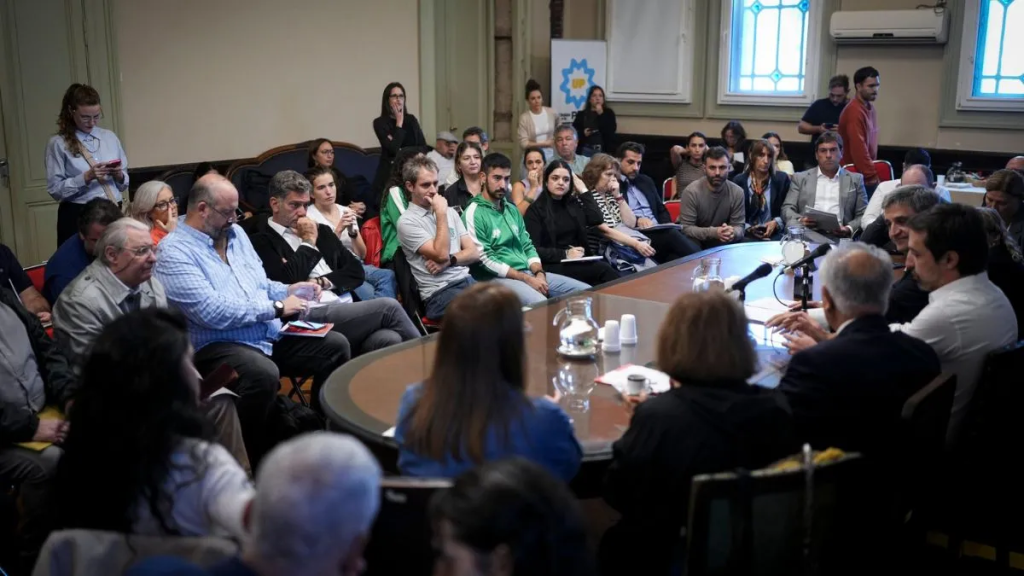 Crisis del sistema de salud: diputados y funcionarios se reunieron en Buenos Aires, con presencia santafesina