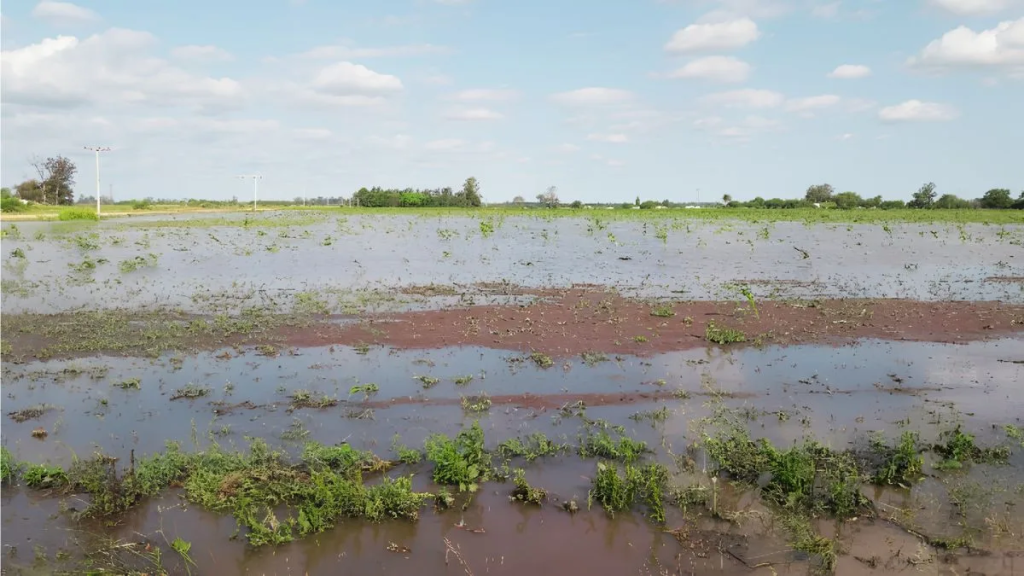 El Gobierno declar&oacute; la emergencia agropecuaria en el norte de Santa Fe y anunci&oacute; cr&eacute;ditos para productores