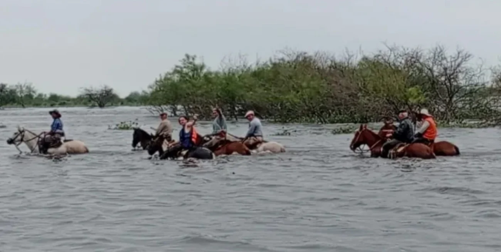 Fort&iacute;n Olmos: gauchos rescatan hacienda a caballo mientras la inundaci&oacute;n golpea al norte