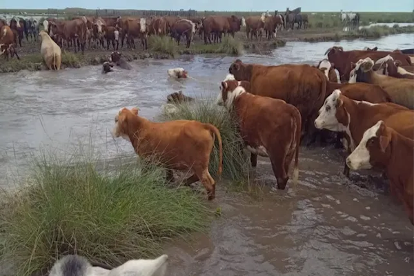El gobierno convoc&oacute; a la Comisi&oacute;n de Emergencia Agropecuaria para el mi&eacute;rcoles