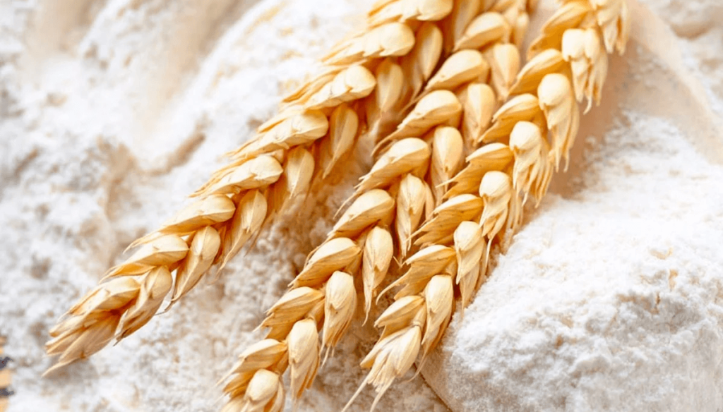 La paradoja de la supercosecha: los molinos dicen que no consiguen trigo y se declaran en alerta