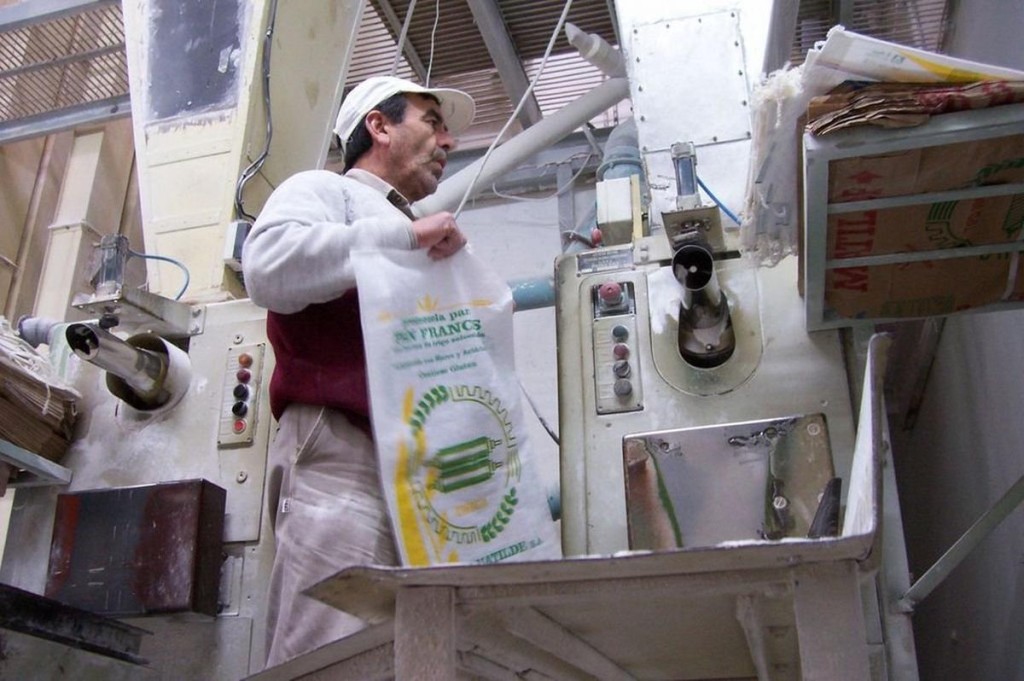 Sobra trigo, pero falta el que sirve para hacer pan