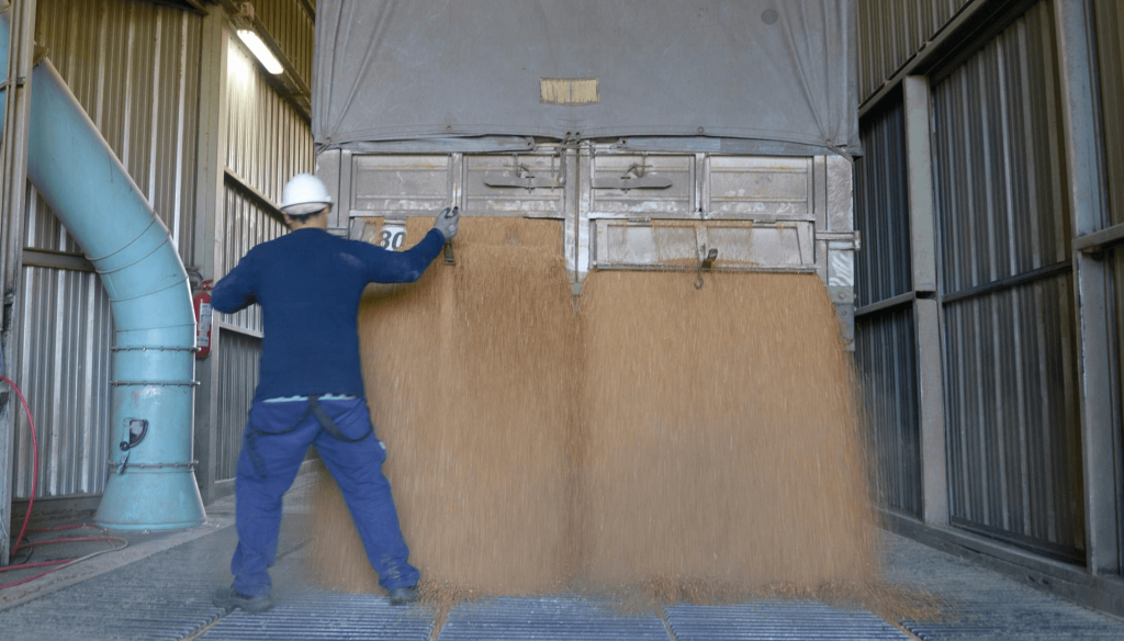 Ventas frenadas, pero empuje exportador: las dos caras de la soja en el inicio de una nueva campa&ntilde;a comercial