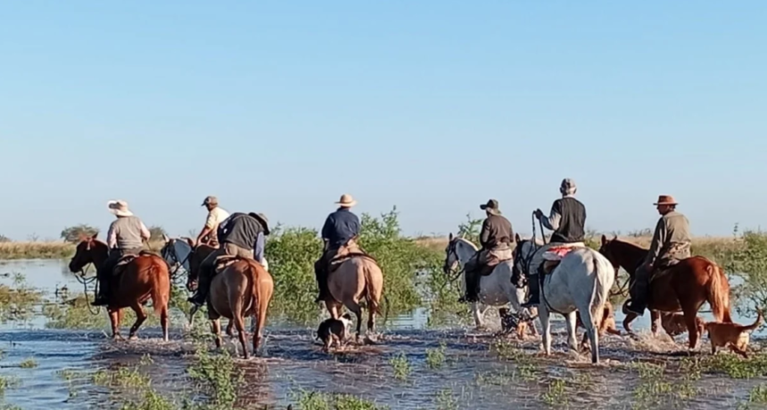 Villa Minetti bajo agua: evacuaciones, anegamientos y rescates de animales