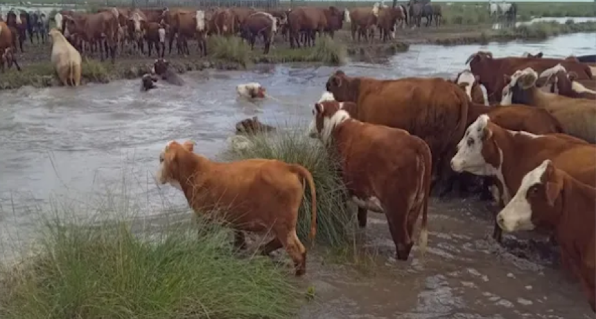 El gobierno convoc&oacute; a la Comisi&oacute;n de Emergencia Agropecuaria para el mi&eacute;rcoles