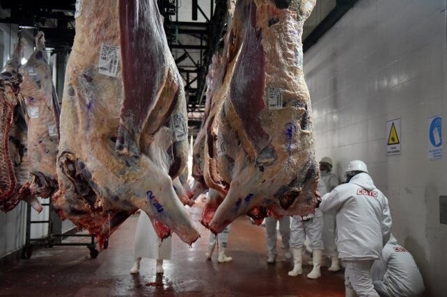 Carne: fuerte rechazo del campo a la medida de cierre de exportaciones