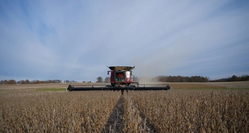 Por el d&oacute;lar soja se liquidaron hasta 2.066 millones de d&oacute;lares