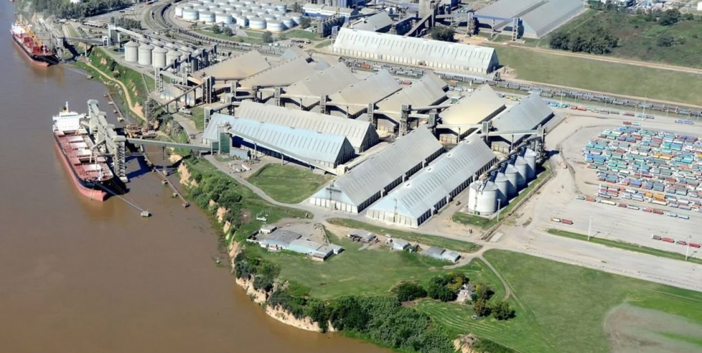 Liquidación de divisas: el agro aportará US$ 31.633 millones en 2025