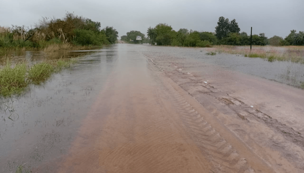 Santa Fe: aceleran la declaraci&oacute;n de emergencia agropecuaria en las zonas inundadas