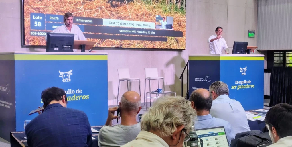 ROSGAN cerr&oacute; un abril r&eacute;cord con casi 42.000 cabezas comercializadas