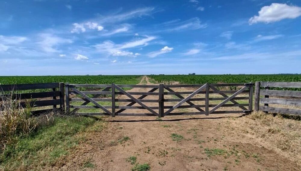 Dos miradas sobre la Ley de Tierras Rurales: &iquest;llave para el desarrollo o desequilibrio estructural?