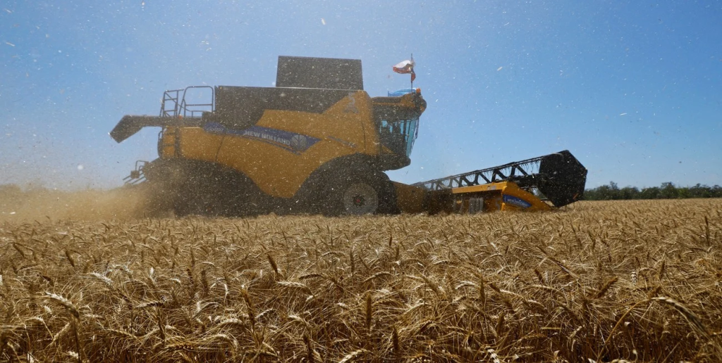 El trigo se dispara por la guerra y la menor producci&oacute;n global