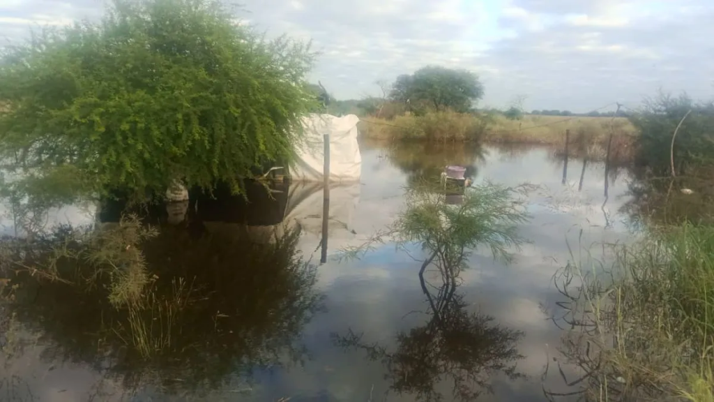 El agua no da tregua en Villa Minetti, a 15 d&iacute;as del temporal: "No baja y no tiene salida"